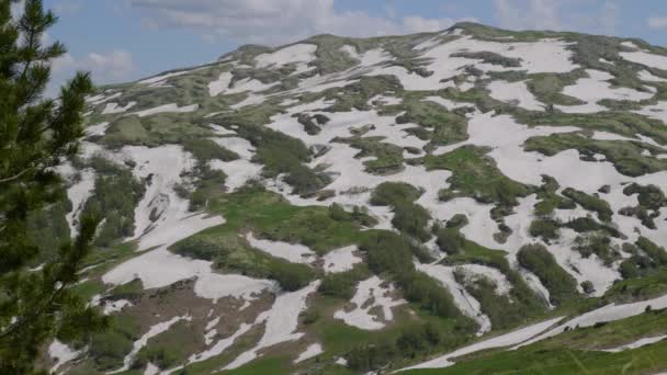 Nordkaukasus Kaukasisches Naturschutzgebiet Lago Naki Plateau Frühling Guzmán Pass — Stockvideo