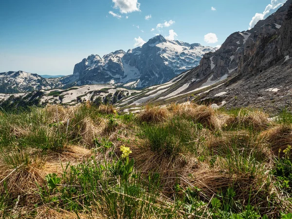 Caucaso Settentrionale Riserva Naturale Caucasica Altopiano Lago Naki Primavera Passo — Foto Stock