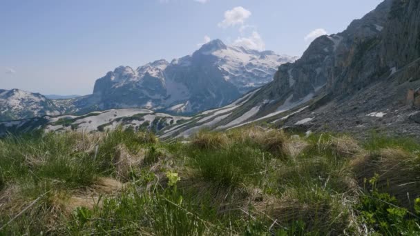 Nordkaukasus Kaukasisches Naturschutzgebiet Lago Naki Plateau Frühling Armenischer Pass Und — Stockvideo