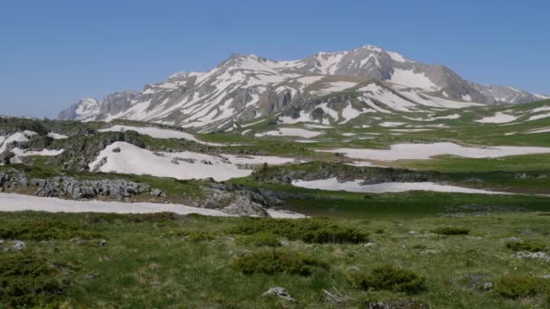 北高加索 高加索自然保护区 春天里的拉戈 纳基高原Oshten山 — 图库视频影像