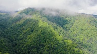 Kafkasya Dağları. Adigeya. Belaya Nehri vadisi. Bulutların arasında uçarken.