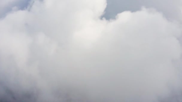 Das Kaukasusgebirge Adygeja Das Tal Des Belaya Flusses Durch Die — Stockvideo