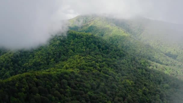 コーカサス山脈 アディゲヤ ベラヤ川の谷 雲の中を飛ぶ — ストック動画