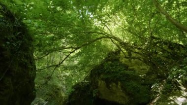 Kafkasya Dağları. Adigea, Khadzhokhskaya geçidi. Mezmaysky deresinde şelaleler.