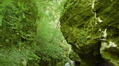 Kafkasya Dağları. Adigea, Khadzhokhskaya geçidi. Mezmaysky deresinde şelaleler.