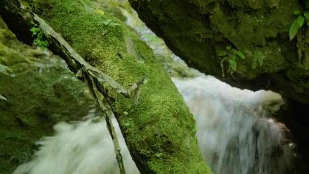 コーカサス山脈 アディジェ Khadzhokhskaya峡谷 メズマイスキー川の滝 — ストック動画