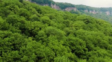 Kafkasya Dağları, Adygeya. Sis içinde Belaya Nehri ve Una-Koz sırtı üzerinde uçuyor..