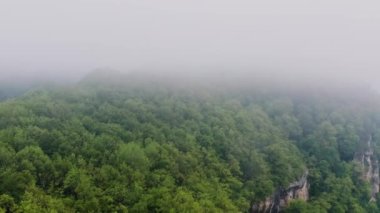 Kafkasya Dağları, Adygeya. Sis içinde Belaya Nehri ve Una-Koz sırtı üzerinde uçuyor..