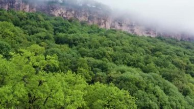 Kafkasya Dağları, Adygeya. Sis içinde Belaya Nehri ve Una-Koz sırtı üzerinde uçuyor..