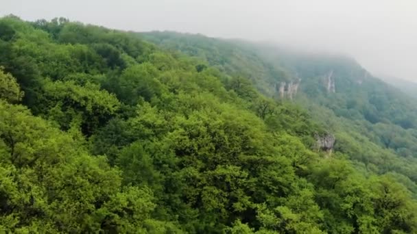 Montañas Del Cáucaso Adygeya Volando Sobre Río Belaya Cresta Una — Vídeos de Stock