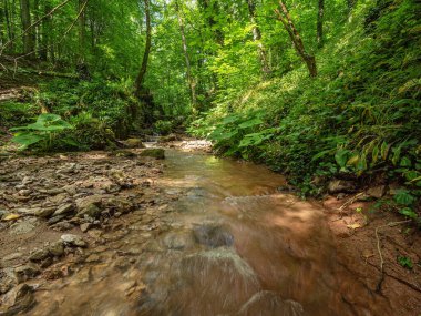 Kafkas Dağları, Adygea. Aminovka Dağı 'ndaki nehirler ve şelaleler.