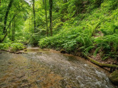 Kafkas Dağları, Adygea. Aminovka Dağı 'ndaki nehirler ve şelaleler.