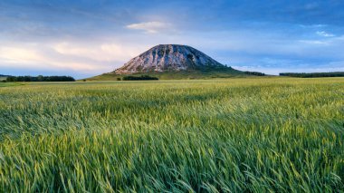 Kireç taşı Shikhan Toratau 'dan oluşan antik denizin resifinden geriye kalanlar. Hava görünümü.