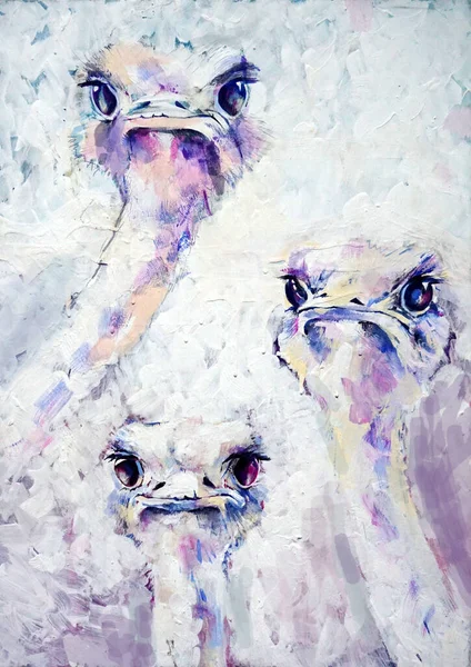 Retrato de tres avestruces sobre fondo blanco. Ilustración dibujada a mano. — Foto de Stock