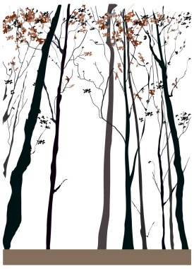 park'ın sonbahar sahne