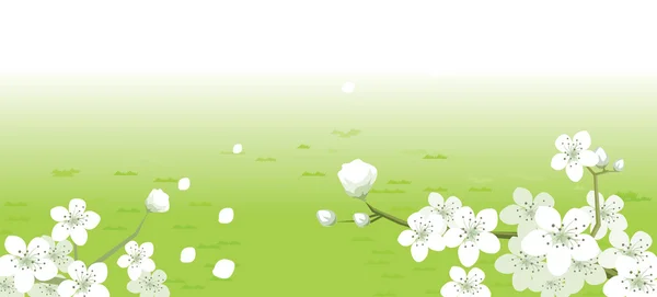 Groene Landschap met witte bloemen — Stockvector