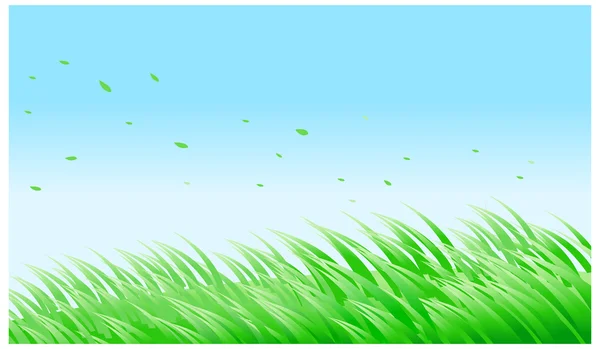 Green grass against blue sky — Stock Vector