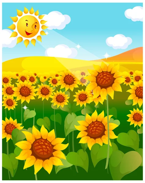 Champ de tournesol et soleil — Image vectorielle