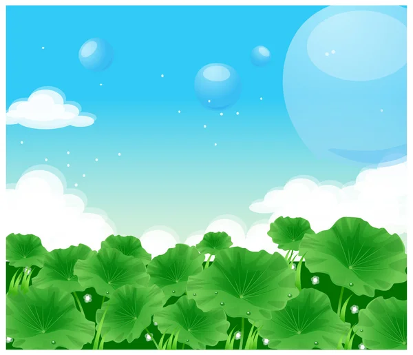 Green field — Stock Vector