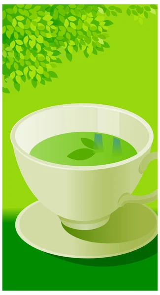 Green tea — Stock Vector