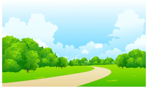 Sentier incurvé sur paysage vert — Image vectorielle