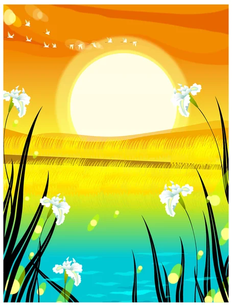 Sunrise background — Stock Vector