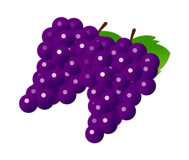 vektör simge üzüm