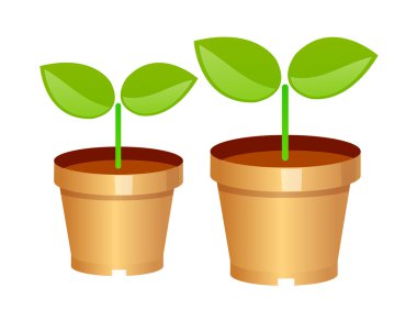 vektör simge bitki Filiz