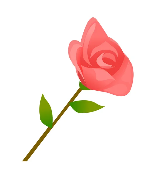 Rose sur fond blanc — Image vectorielle