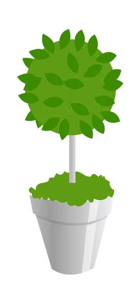 Grüner Baum im Topf — Stockvektor