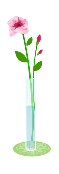 Flower in a vase — Stock Vector