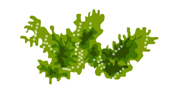 Algas verdes — Vector de stock
