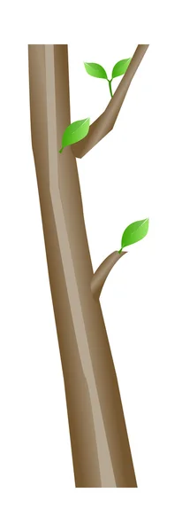 Árbol — Vector de stock