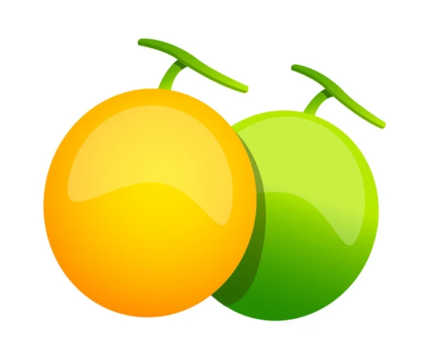 Vector icon melon — Stock Vector