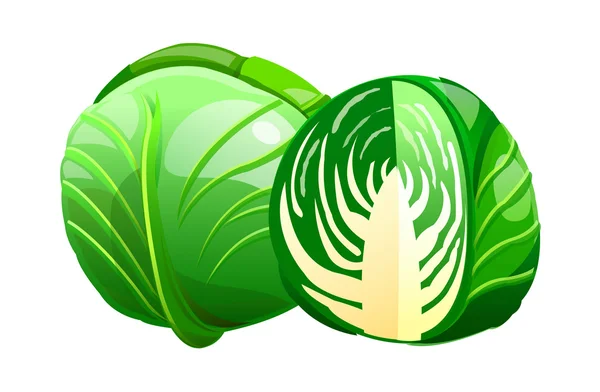 Vector icon cabbage — Stock Vector