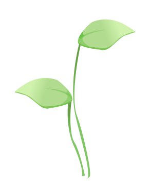 vektör simgesi yaprak