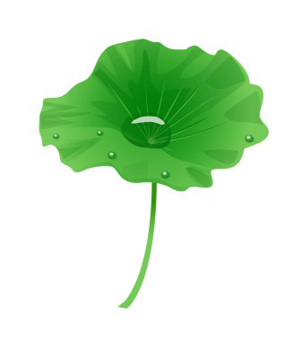 vektör simgesi yaprak