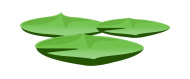 vektör simgesi yaprak
