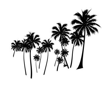 Vector icon palm tree clipart