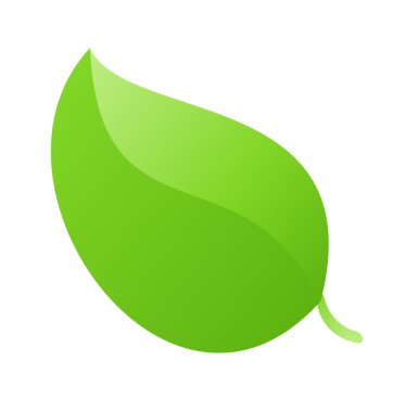 vektör simgesi yaprak