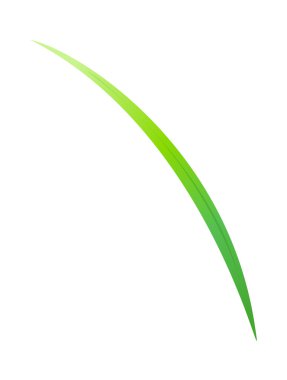 vektör simgesi yaprak