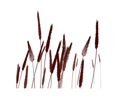 vektör simge reed
