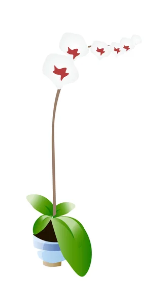 Vecteur icône plante — Image vectorielle