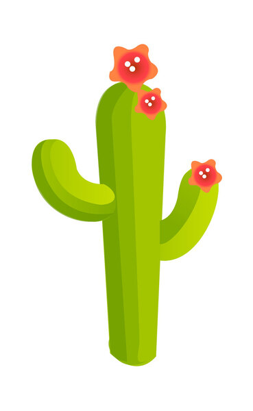 Векторный кокус
