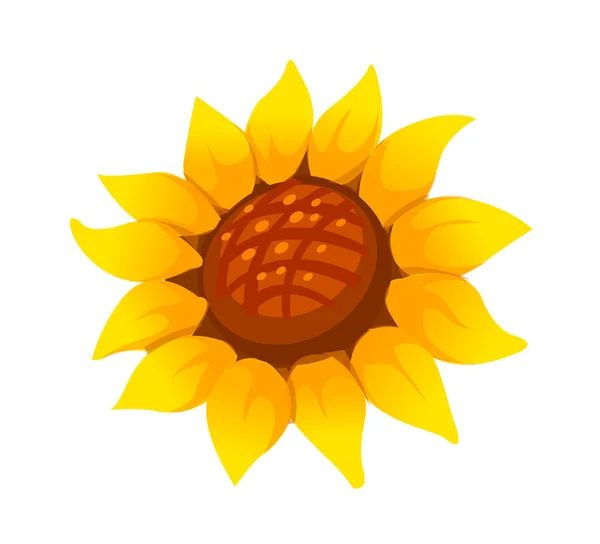 Vector icon sunflower — Stock Vector