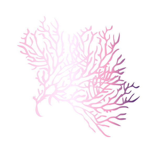 Vector icon coral