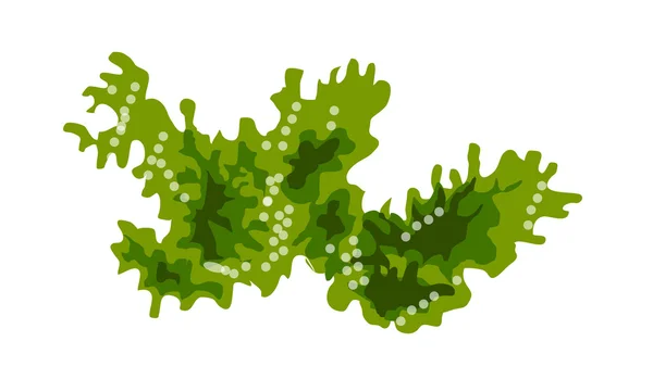 Vector icon sea weed — Stock Vector