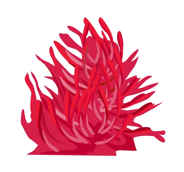 Vector icon coral — Stock Vector