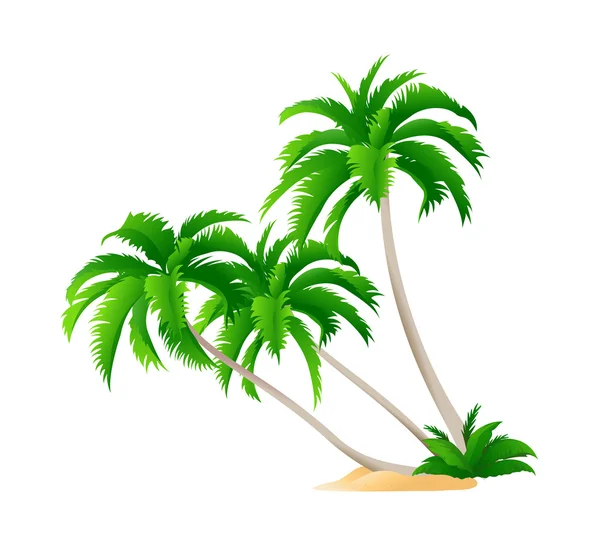 Vector icono de la palmera — Vector de stock