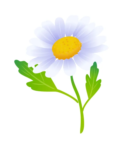 Vektorové ikony květ — Stockový vektor